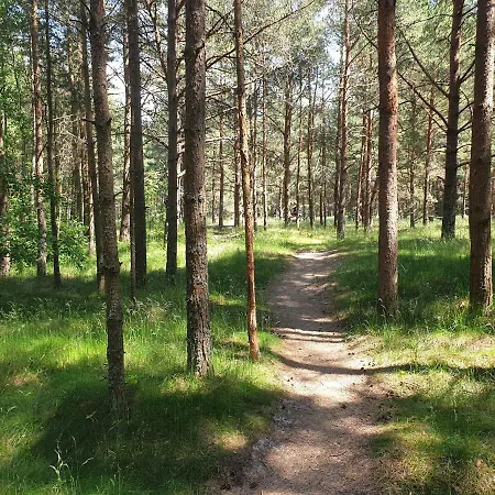 Nemirsetos Kopos Daire *