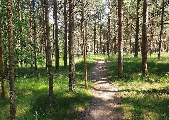 Nemirsetos Kopos Apartment *