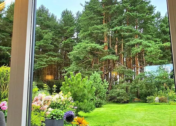 Nemirsetos Kopos Palanga